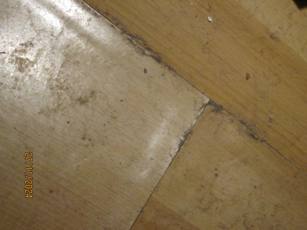 thumbs/WasserschadenVonUnten.Flurlaminatbersten.FlurendeWohnungstuerBadtuer.PlattenraenderKaemme.3.26112024.JPG.jpg