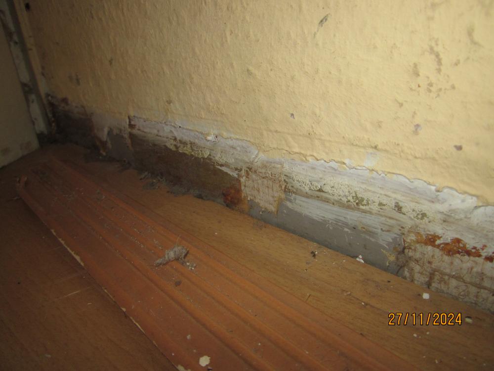 thumbs/WasserschadenVonUnten.Flurlaminatbersten.HinterBadTuerScheinbareUndWiePartitionierteFeuchtstellen.26112024.JPG.jpg
