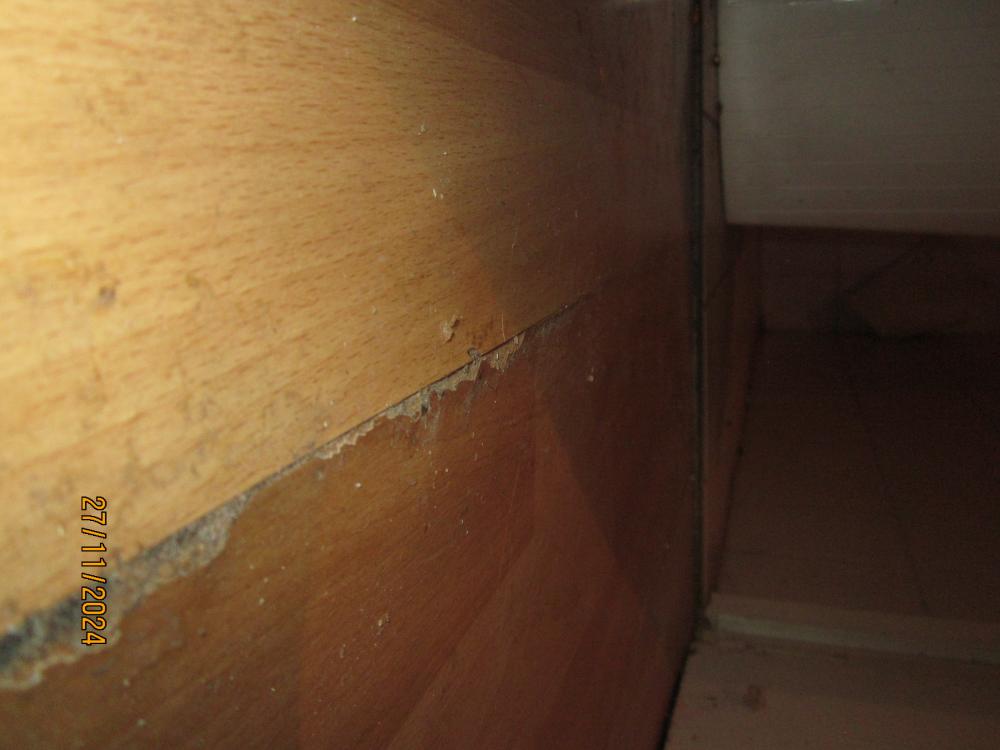 thumbs/WasserschadenVonUnten.Flurlaminatbersten.SchwelleZumBadKaumGeschwollen.DortNachFrueherenPutzueberschwemmungenGanzeLaminatplattenGewelltUndLaminatPlattenRaenderBeimTrocknenAbgeplatzt.Nah.26112024.JPG.jpg