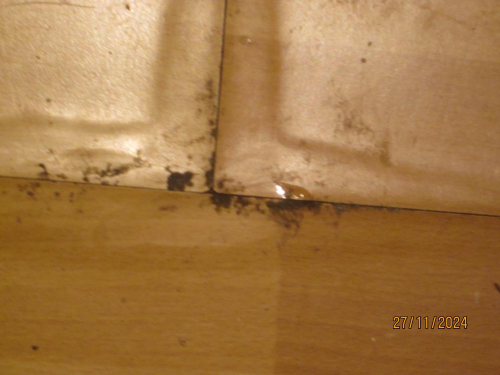 thumbs/WasserschadenVonUnten.Flurlaminatbersten.VorKuechentuer.FeuchteFugenDerLaminatschwellung.26112024.JPG.jpg