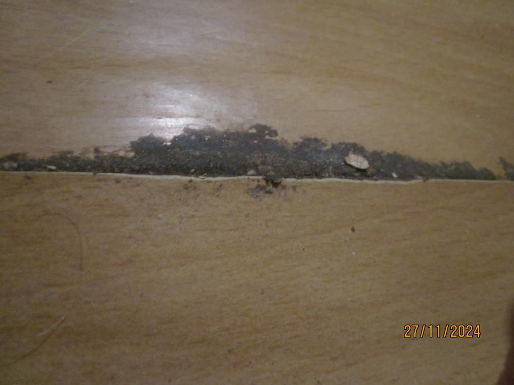 thumbs/WasserschadenVonUnten.Flurlaminatbersten.VorKuechentuer.LangsamVollgesogenerStaubgrind.26112024.JPG.jpg