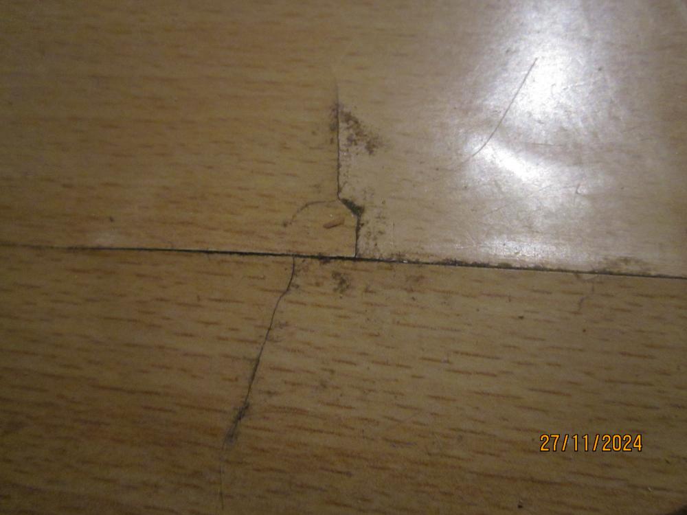 thumbs/WasserschadenVonUnten.Flurlaminatbersten.VorKuechentuer.PlattenrandRiss.26112024.JPG.jpg