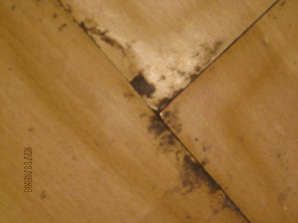 thumbs/WasserschadenVonUnten.Flurlaminatbersten.ZwischenKuechentuerUndWohnungstuer.SchwellungAbriebFeucht.Nah.26112024.JPG.jpg